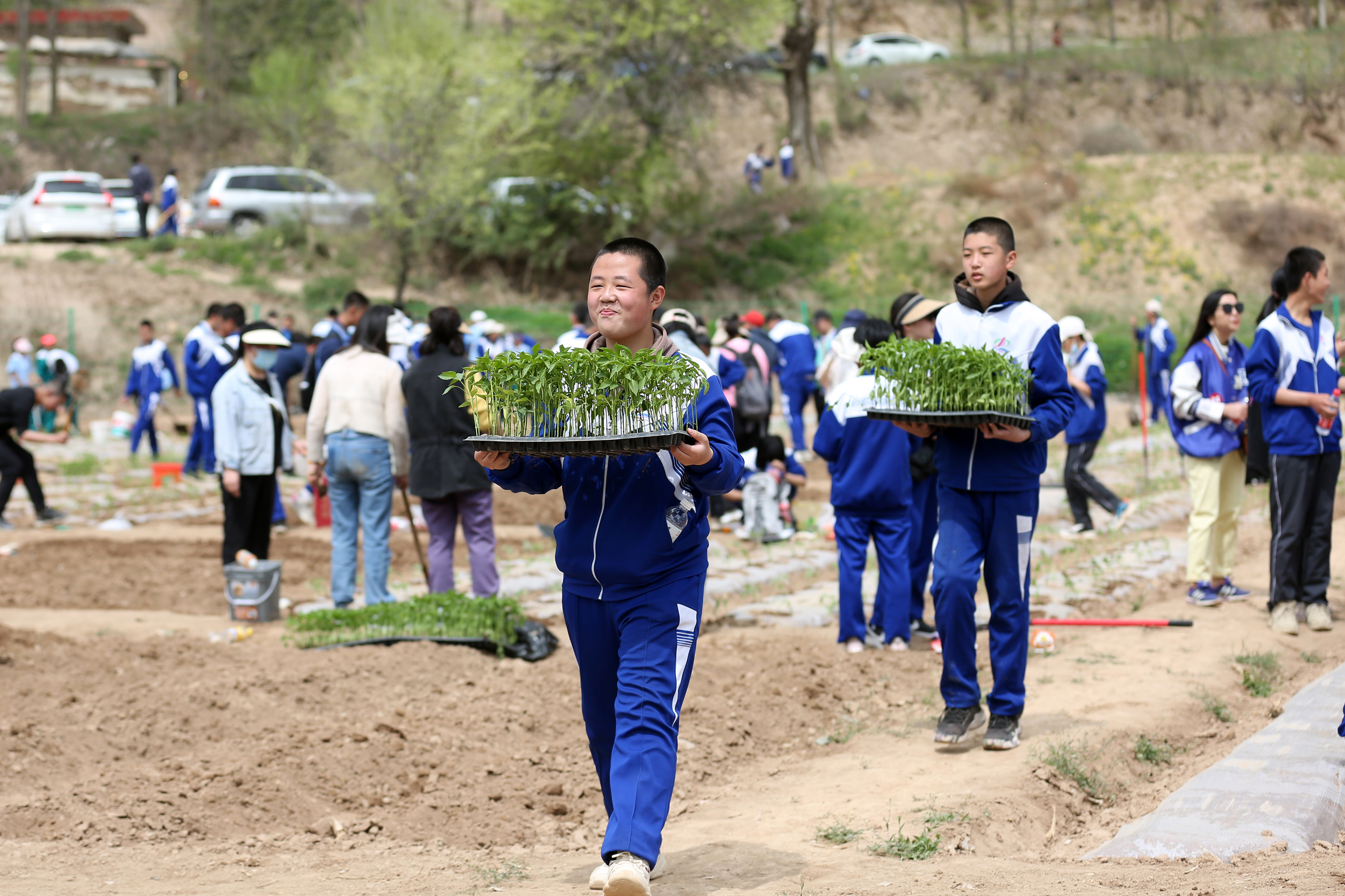 09——4月27日，在甘肅省平?jīng)鍪械谒闹袑W(xué)行知園學(xué)農(nóng)基地里，學(xué)生們在搬運(yùn)辣椒苗。.JPG