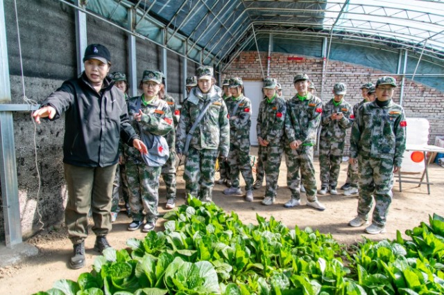 師生在第六埠村蔬菜大棚，了解蔬菜種植過程和常見病蟲害防治等知識。.jpg